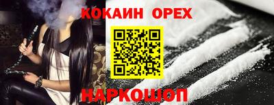 гашик Кинель