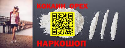гашик Кинель