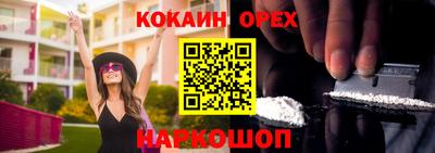гашик Кинель