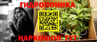 гашик Кинель