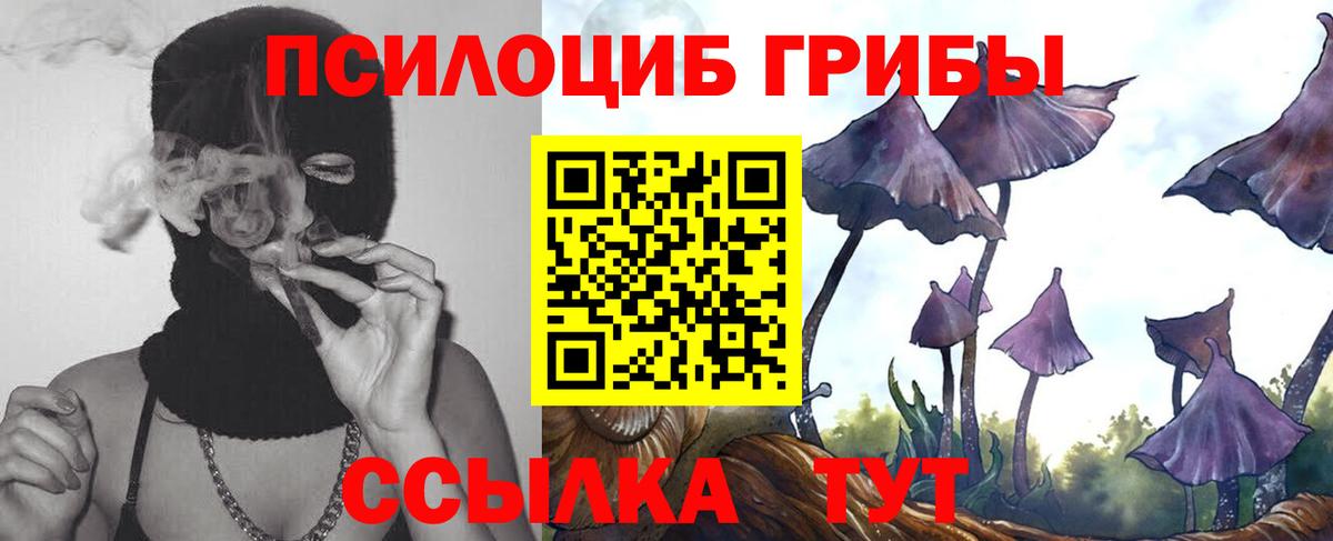 Псилоцибиновые грибы Cubensis  Вход с VPN  Волоколамск  Псилоцибиновые грибы прущие грибы 